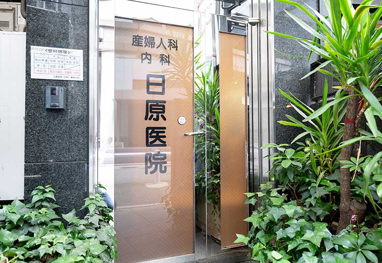 外観